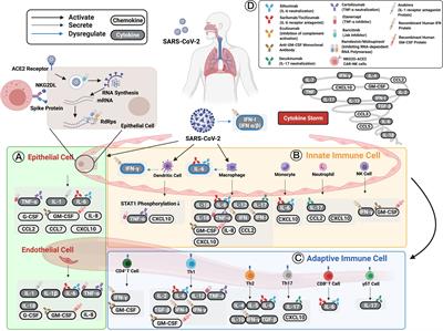 The Role of Cytokines and Chemokines in Severe Acute Respiratory Syndrome Coronavirus 2 Infections